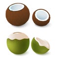 Open brown and green coconut. Exotic attribute of summer vacation. Isolated on white.Vector 3d illustration. Royalty Free Stock Photo
