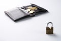 Open brown leather wallet with dollar cash, coins, debit credit cards Royalty Free Stock Photo