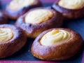 Open buns with cottage cheese vatrushka lying on a tray after baking. ÃÂ¡lose up