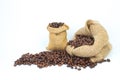 Open burlap bags scattered with whole coffee beans on a white background Royalty Free Stock Photo