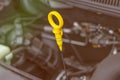 open car hood. get the probe. it is yellow. checking the oil level Royalty Free Stock Photo