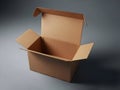 Open cardboard box against dark background Royalty Free Stock Photo