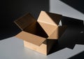 Open cardboard box bathed in dramatic sunlight and shadow Royalty Free Stock Photo