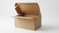 Open cardboard box on white background Royalty Free Stock Photo