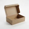 Open cardboard box on white background Royalty Free Stock Photo