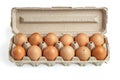 Open carton of brown eggs on white background. Neural network AI generated Royalty Free Stock Photo