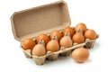 Open carton of brown eggs on white background. Neural network AI generated Royalty Free Stock Photo