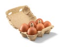 Open carton with six brown chicken eggs isolated on white background Royalty Free Stock Photo