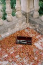 Open case with a clarinet lies on the stone terrace of an old building among dried buds Royalty Free Stock Photo