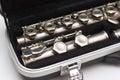 Open case with a flute lying in it with large keys close-up Royalty Free Stock Photo