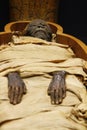 Open casket of Egyptian mummy