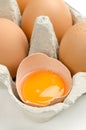 Open chicken egg in gray egg carton Royalty Free Stock Photo