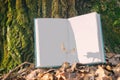 Open clean empty book in blue bound lying on a dry leaves. Background texture bark tree in spring nature forest