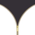 Open close zip. Realistic zipper fastener reveal vector. Metallic gold elegant zip locker with runner vertical. Graphic