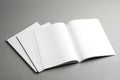 Open and closed blank brochures on grey background.