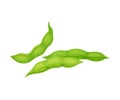 Open and Closed Green Soybean Pods Vector Items