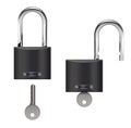Locks Realistic Set Royalty Free Stock Photo