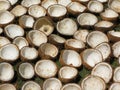 Open coconuts Royalty Free Stock Photo
