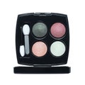 Open cosmetic set with eye shadows and applicators in black plastic case