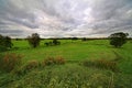 Open countryside in Germany landscape with grassy fields and trees beneath overcast skies Royalty Free Stock Photo