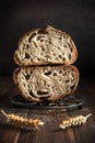 Open crumb basic sourdough bread Royalty Free Stock Photo