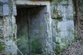 Open dark spooky entrance to the mossy catacomb with peeling concrete