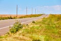 Open desert country road with telephone poles and yellow flowers Royalty Free Stock Photo