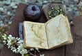 Open diary with empty pages, black apple and blooming branch on planks