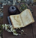 Open diary with empty pages, black apple and decorated book with blooming branch on planks.
