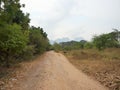 Open dirt road in green forest with mountain Royalty Free Stock Photo