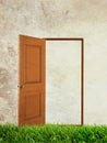 Open door on the green grass over grunge background Royalty Free Stock Photo