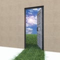 Open door to new life on the field. Royalty Free Stock Photo