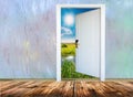 Open door with a view of green meadow illuminated Royalty Free Stock Photo