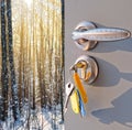 Open door and a winter forest Royalty Free Stock Photo