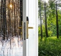 Open door and a winter forest Royalty Free Stock Photo