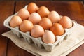 open eco-friendly carton of free-range chicken eggs