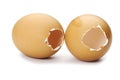 Open egg Royalty Free Stock Photo