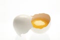 Open egg Royalty Free Stock Photo