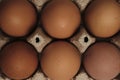 Open egg box with six brown eggs. Fresh organic chicken eggs in carton pack or egg container top view Royalty Free Stock Photo