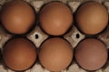 Open egg box with six brown eggs. Fresh organic chicken eggs in carton pack or egg container top view Royalty Free Stock Photo