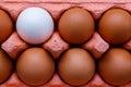 Open egg box with ten brown eggs close up view. Fresh organic chicken eggs in carton pack or egg container Royalty Free Stock Photo