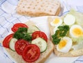 Open egg salad ciabatta sandwich Royalty Free Stock Photo