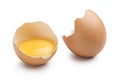 Open egg Royalty Free Stock Photo
