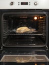 open electric oven with hot air ventilation. New oven. Door is open and light is on. vertical Royalty Free Stock Photo