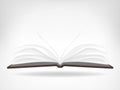 Open empty book side view isolated object Royalty Free Stock Photo