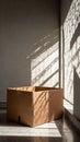 Empty Cardboard Box in Sunlit Room with Shadows Royalty Free Stock Photo