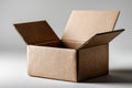 open empty cardboard box on white background Royalty Free Stock Photo