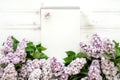 Open empty notebook surrounded with lilac flowers on white wooden background. Flat lay, top view, copy space Royalty Free Stock Photo