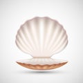 Open empty seashell icon isolated on a white background