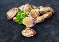 Open en closed clams with shellfish isolated on black background Royalty Free Stock Photo